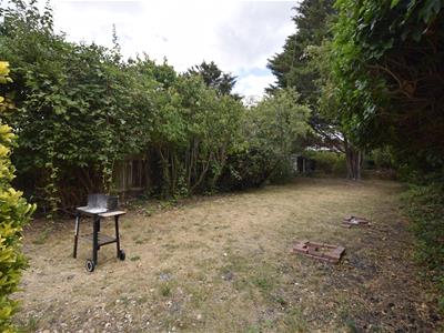 Picture 16
